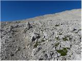 Malga Fosse - Cima della Rosetta